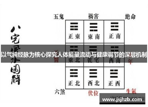 以气纯经脉为核心探究人体能量流动与健康调节的深层机制